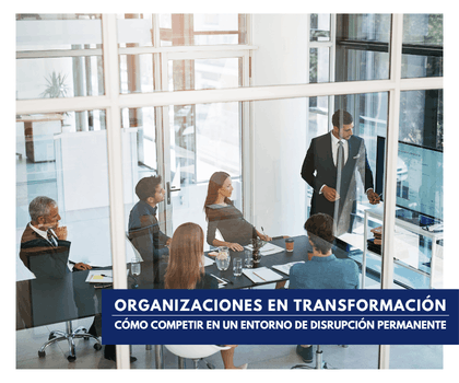 Organizaciones en transformación